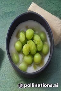 综艺节目封面，户外竞技真人秀风格，色彩鲜艳活力四射